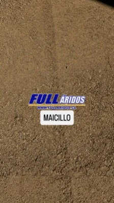 Maicillo Amarillo y Blanco